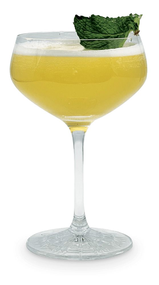 Brossard-Rive-Sud-Cocktails-Mocktails-Drinks-Recettes-Mixologie-Bar-Boissons-Sirops-COQ-TAIL-Tonic